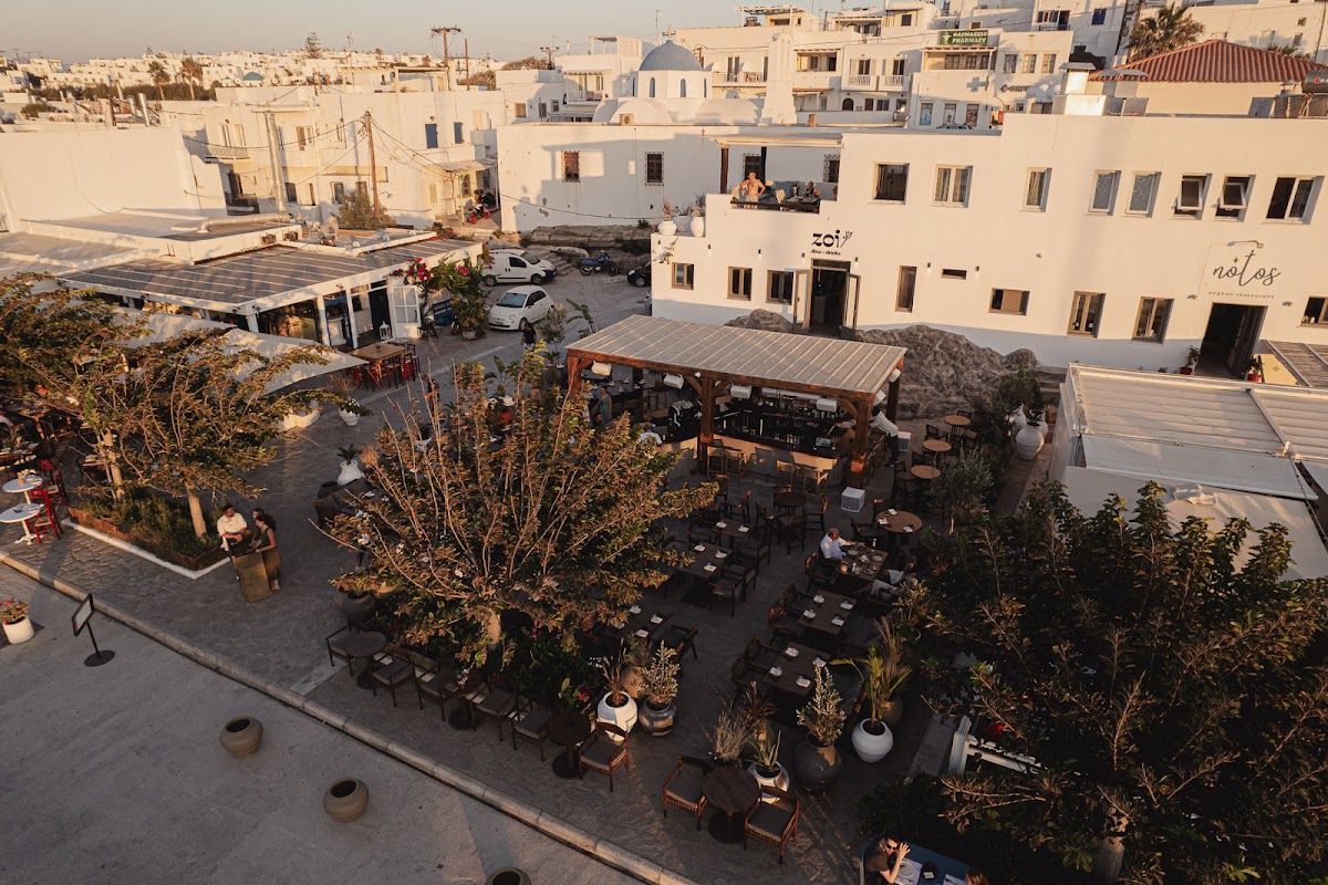 Paros — Zoi Restaurant Paros — galeri