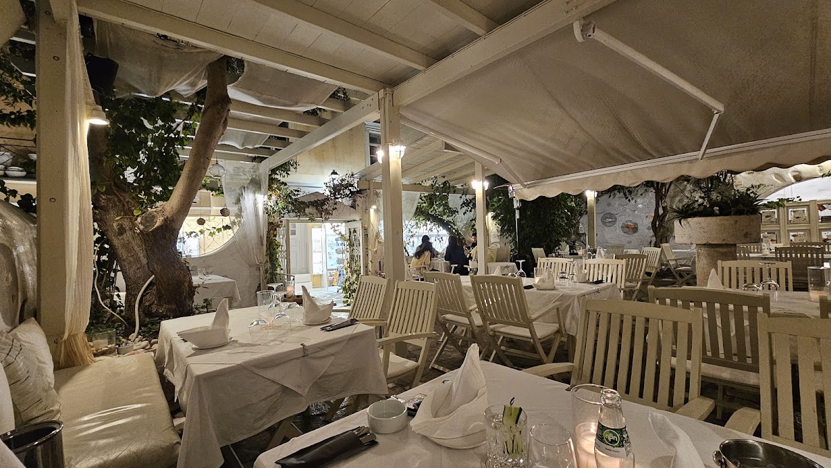Paros — Dionysos Garden Restaurant — galeri