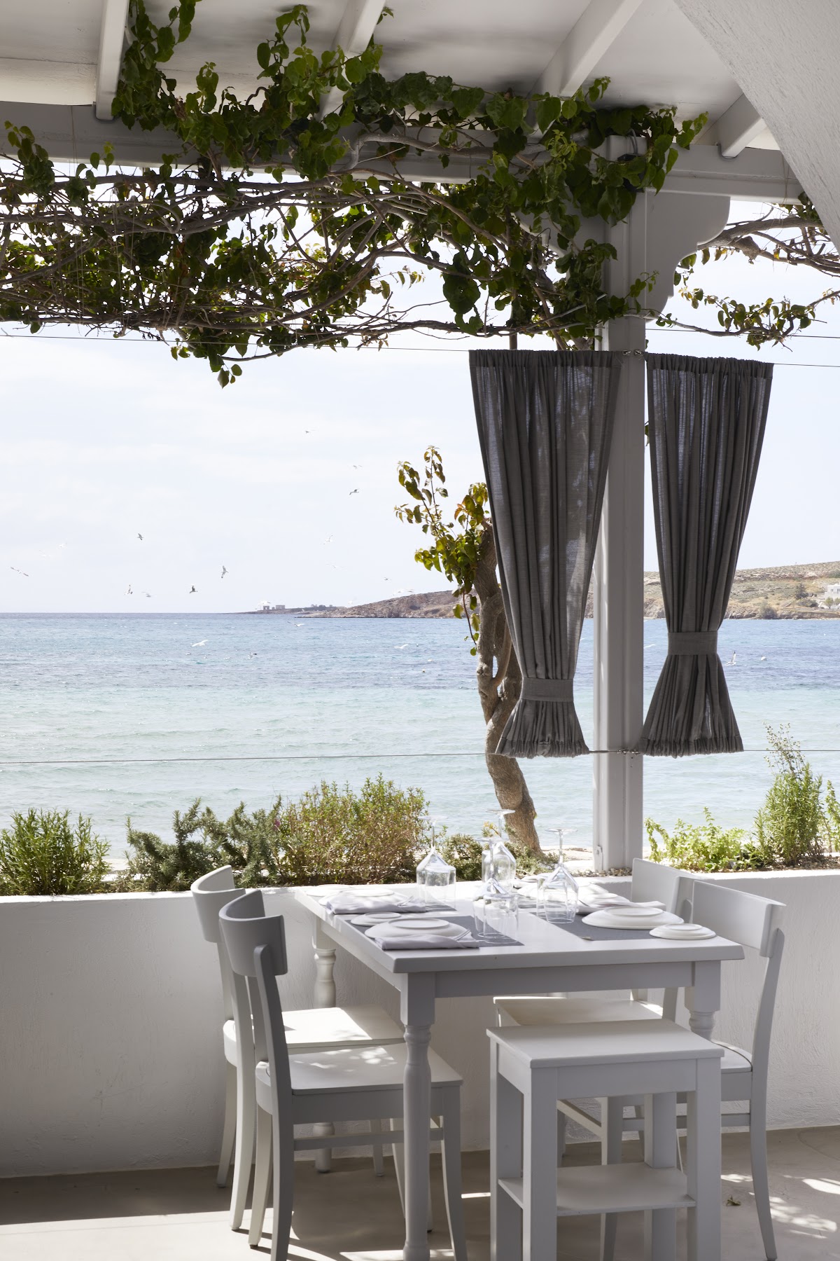 Paros — Mario Restaurant — galeri
