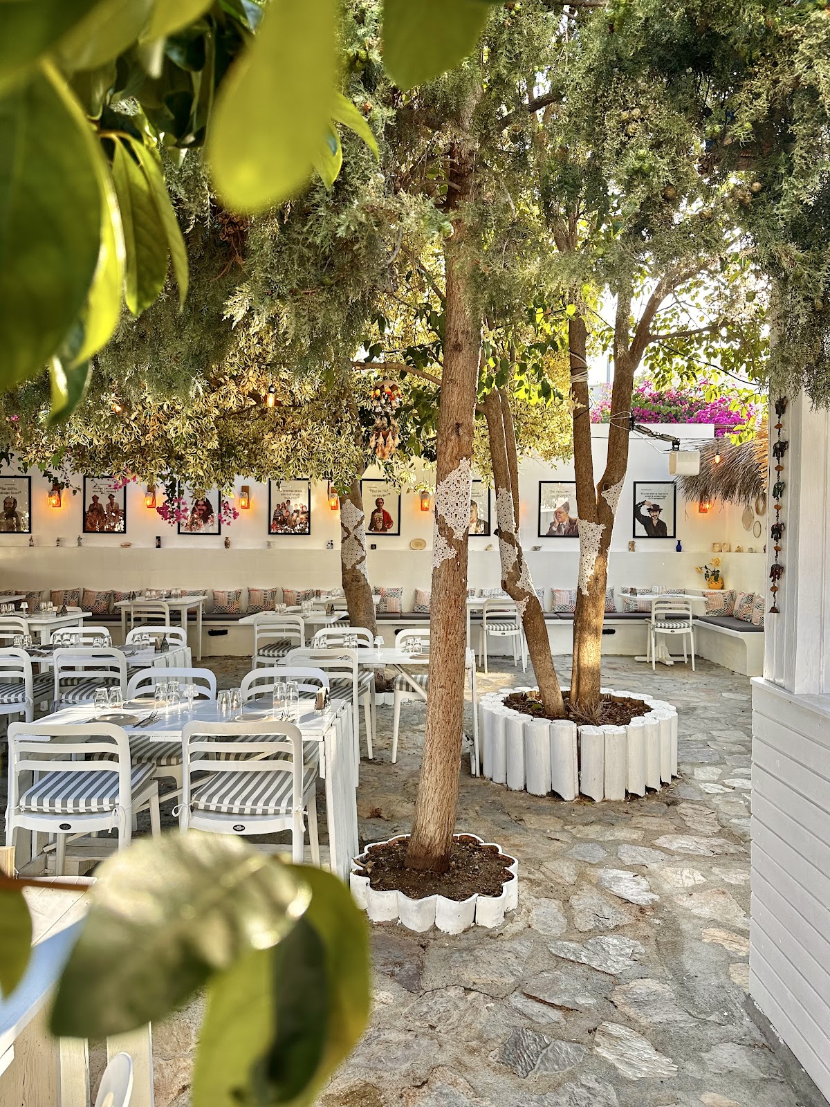 Datça — Meyhane Datca — gallery