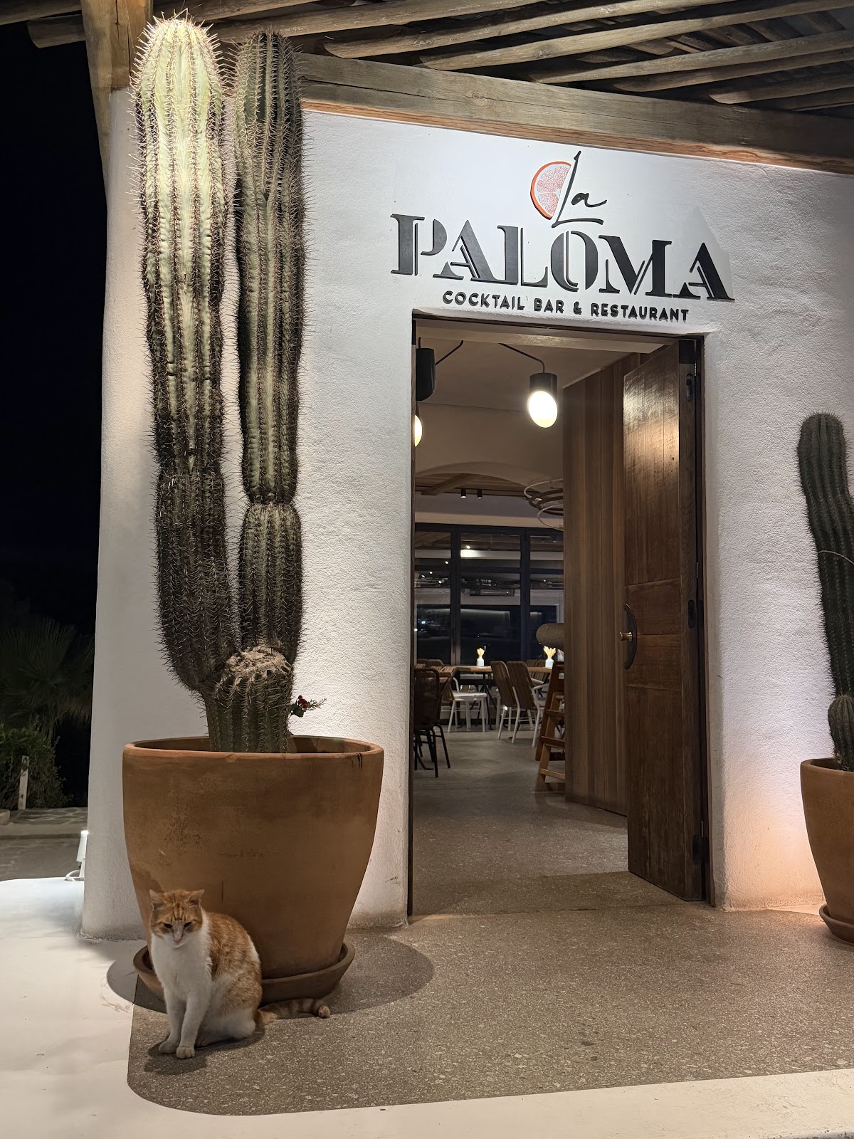 Naxos — La Paloma Cocktail Bar Restaurant — gallery