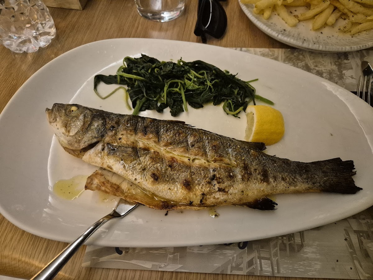 Athens — Thinalos Seafood Restaurant — galeri