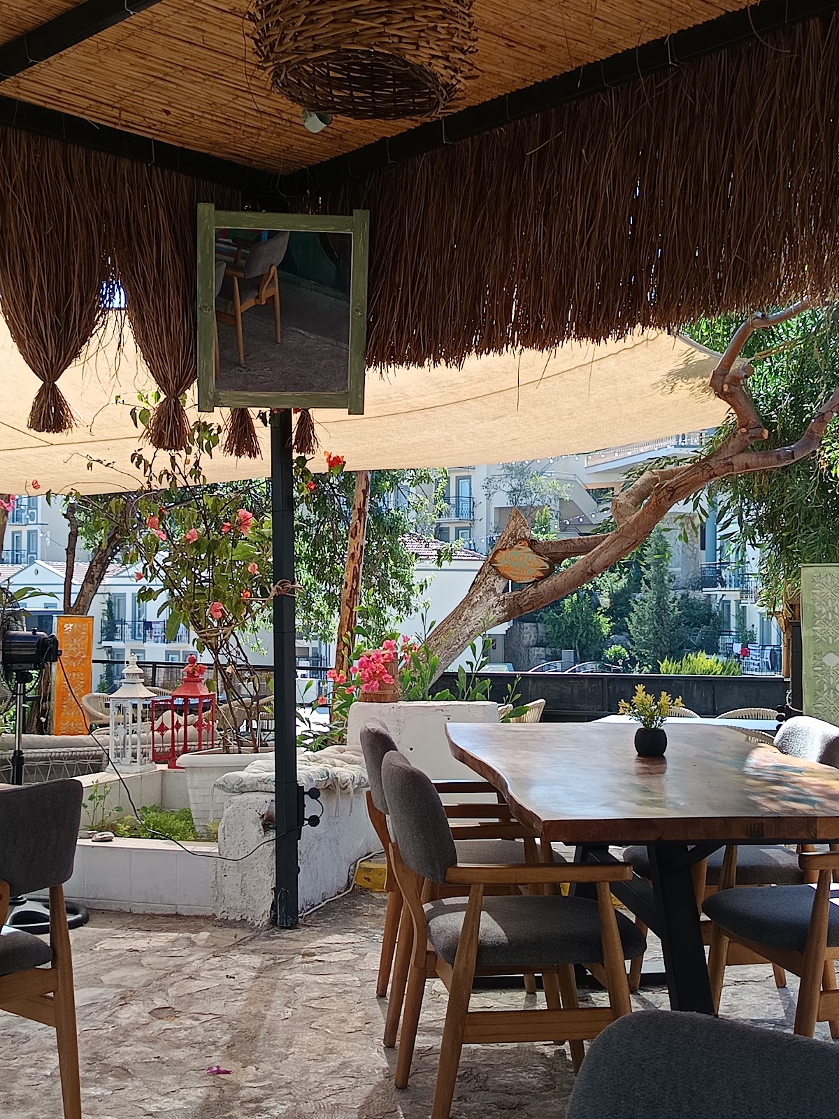 Kalkan — Pasha Burgers Fries — galeri