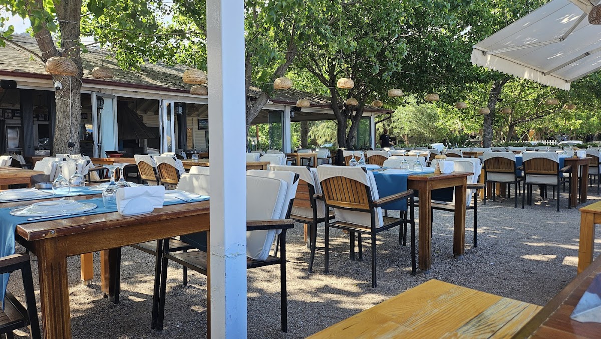 Olympos — Azur Aida Restaurant — galeri