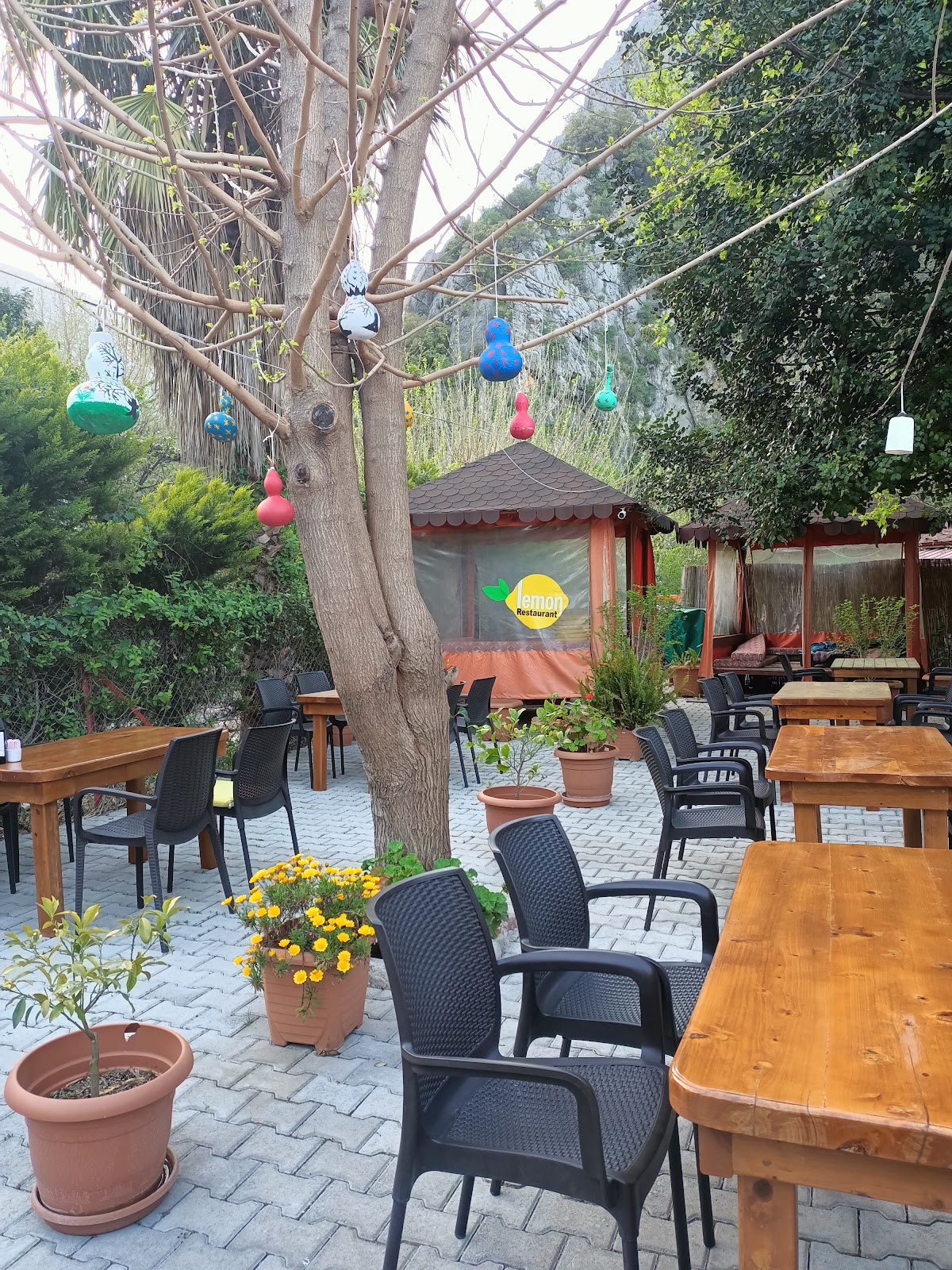 Olympos — Lemon Cafe Restaurant — galeri