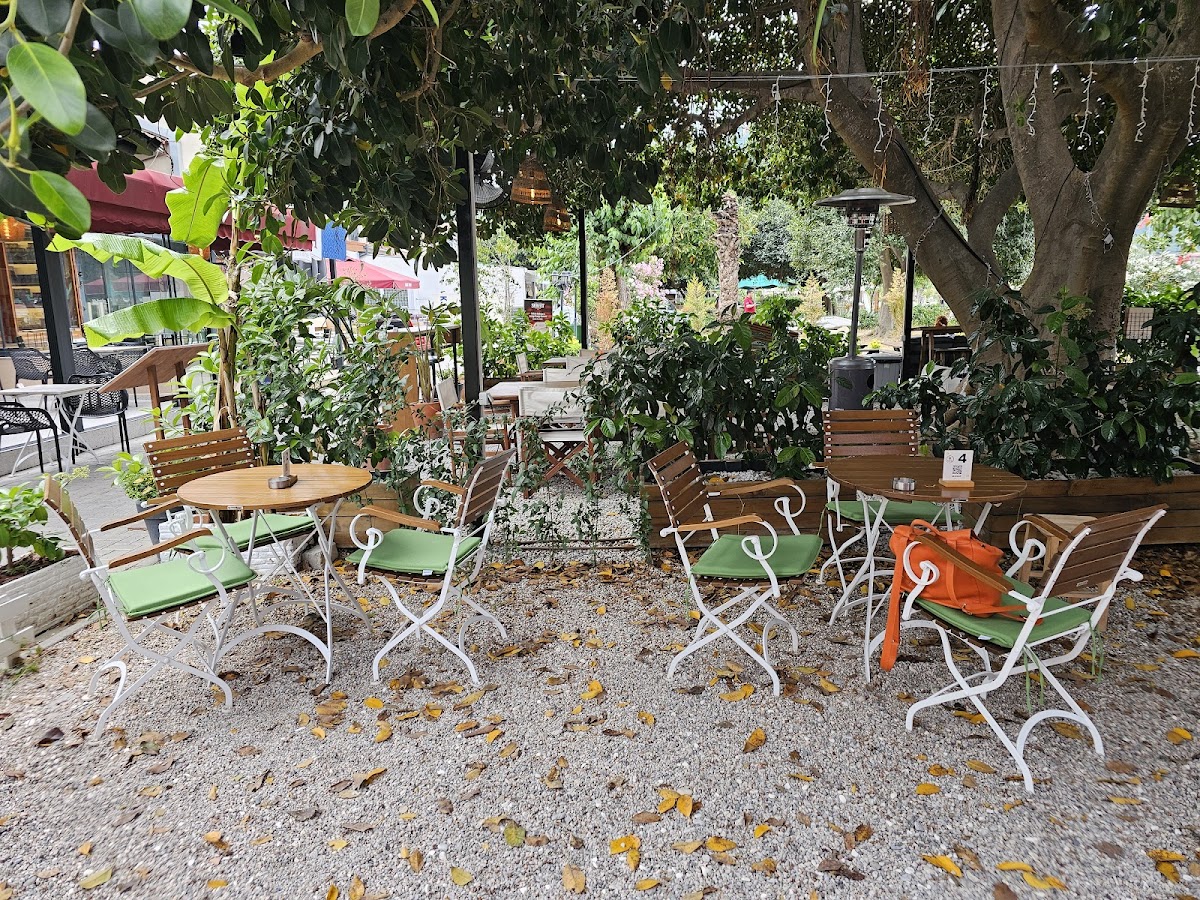 Göcek — Drunken Bee Gocek Cafe Bistro — gallery