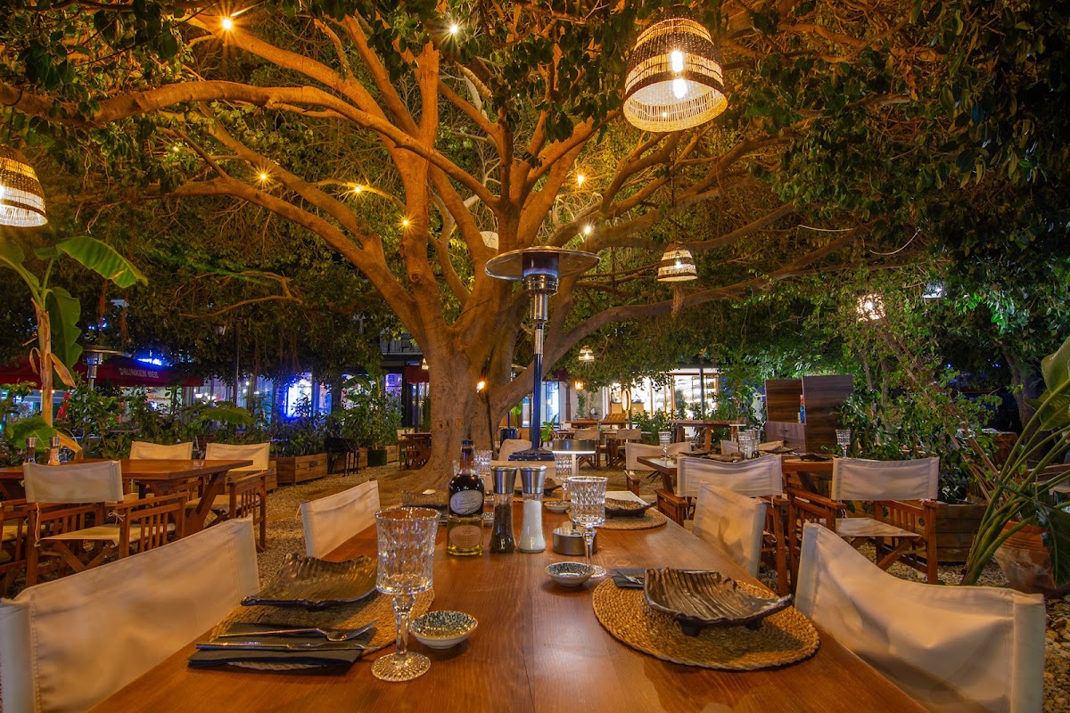 Göcek — Sea Lounge Gocek — galeri
