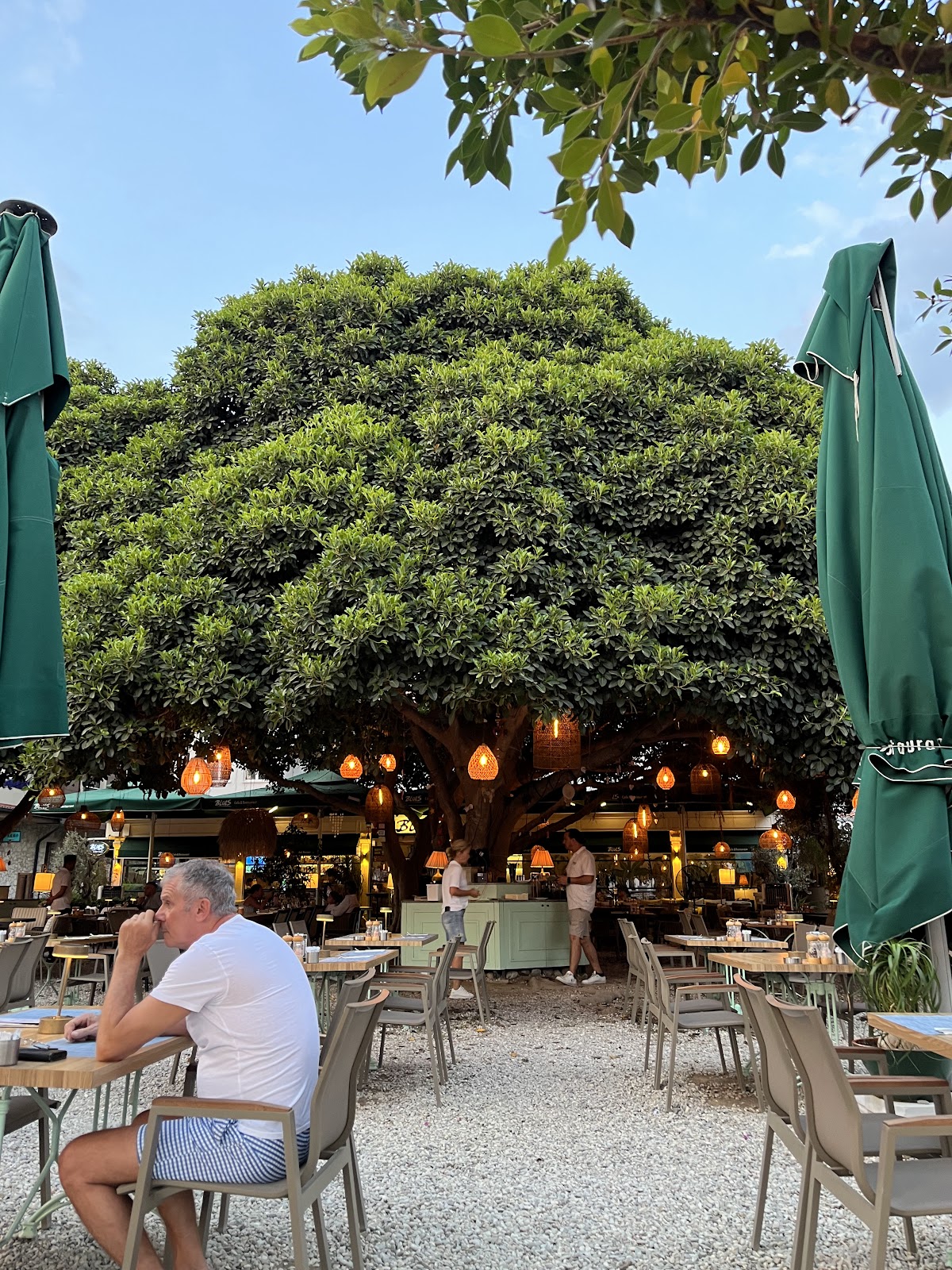 Göcek — Blues Cafe Restaurant Gocek — gallery