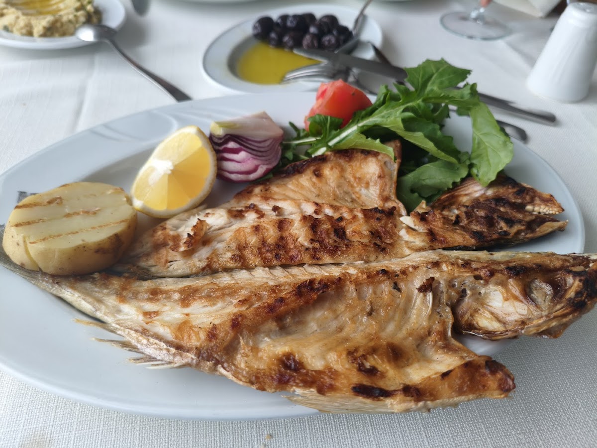 Kuşadası — Kazim Usta Restaurant — gallery