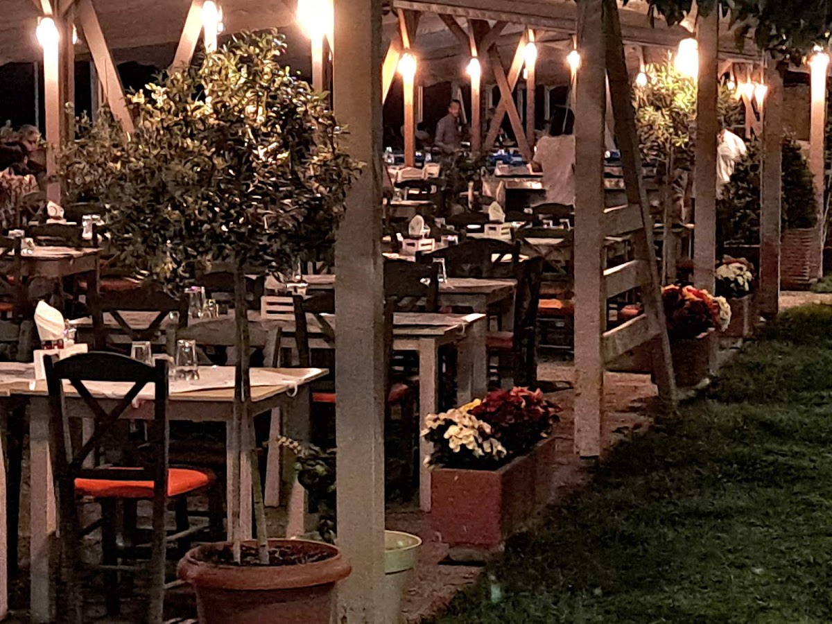 Alexandroupolis — Gialos Seafood Taverna — galeri