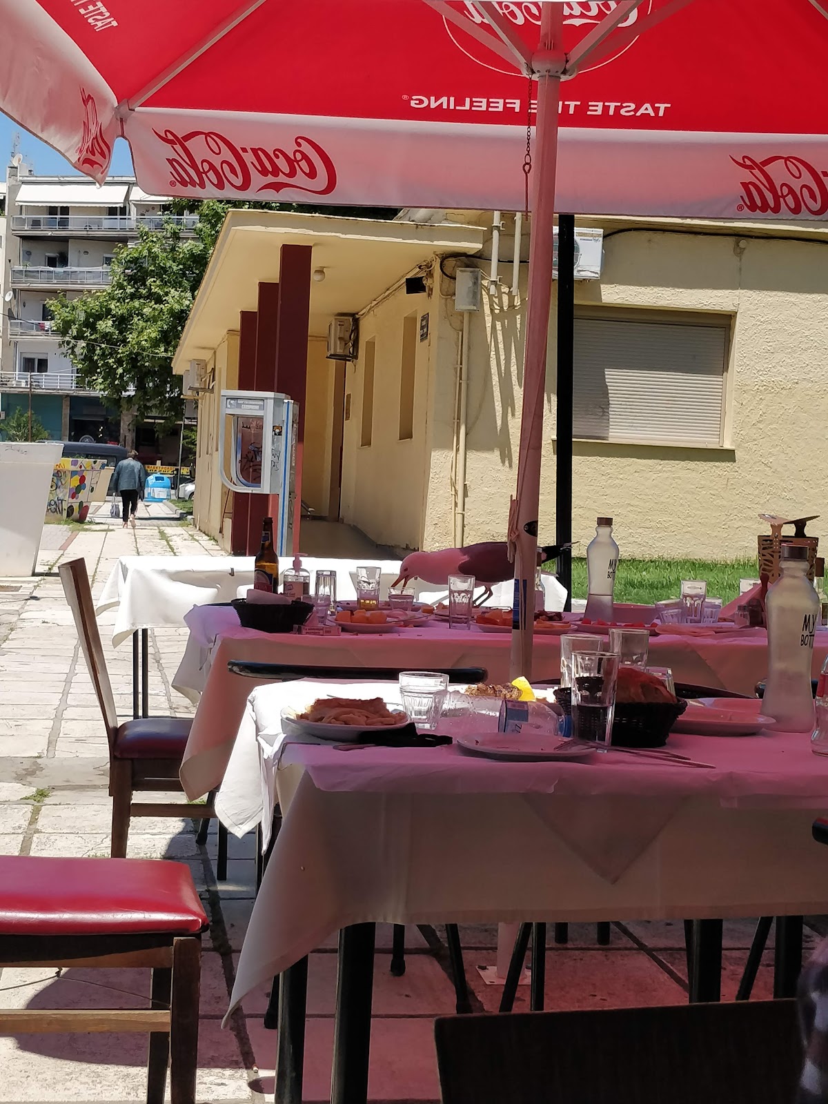 Alexandroupolis — Nisiotiko — galeri