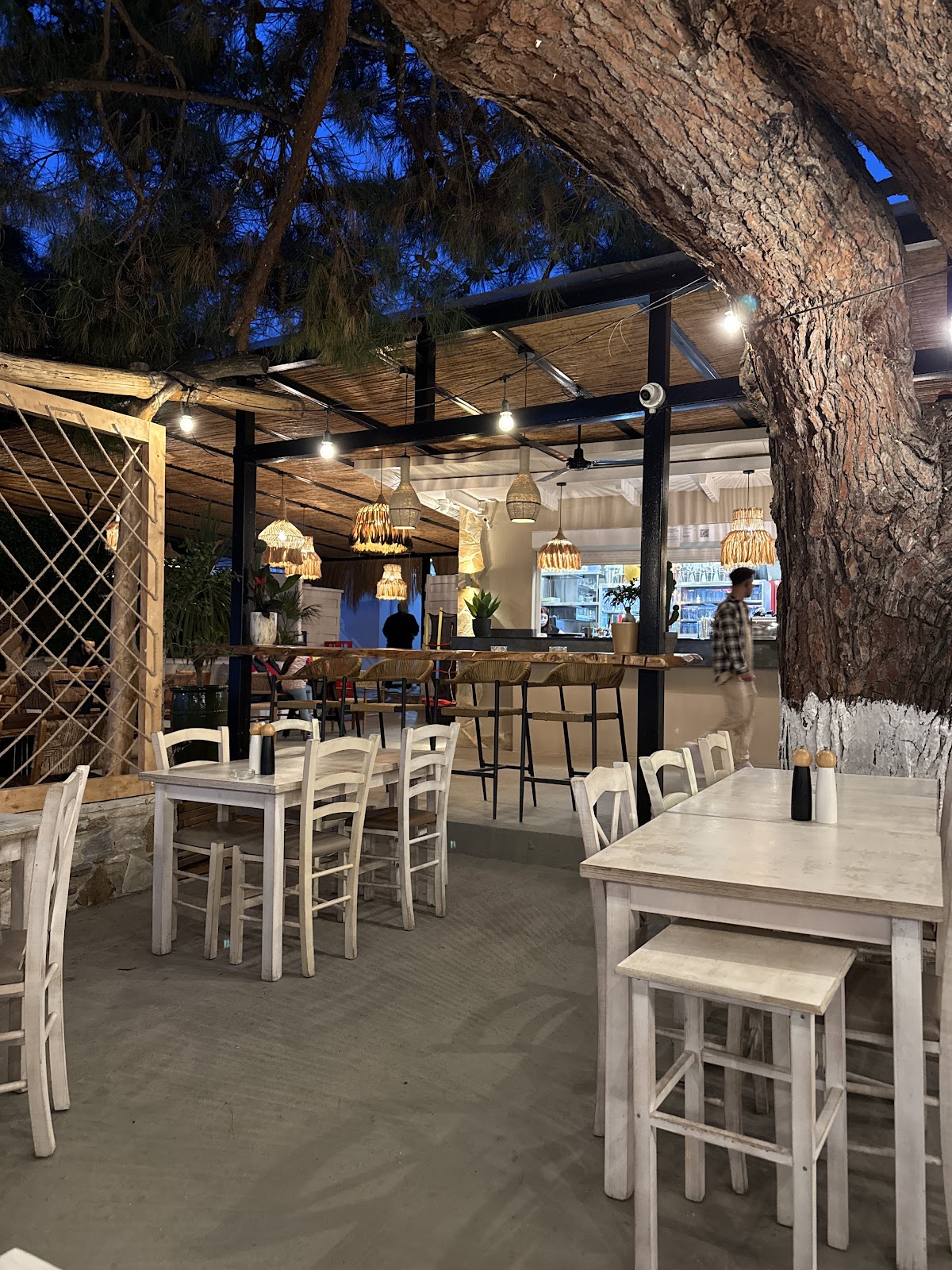 Thassos — Pefkospilia Taverna — galeri