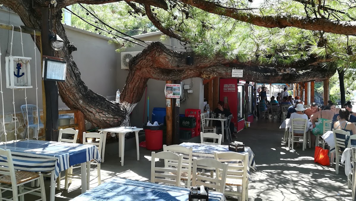 Thassos — Pefkospilia Taverna — gallery