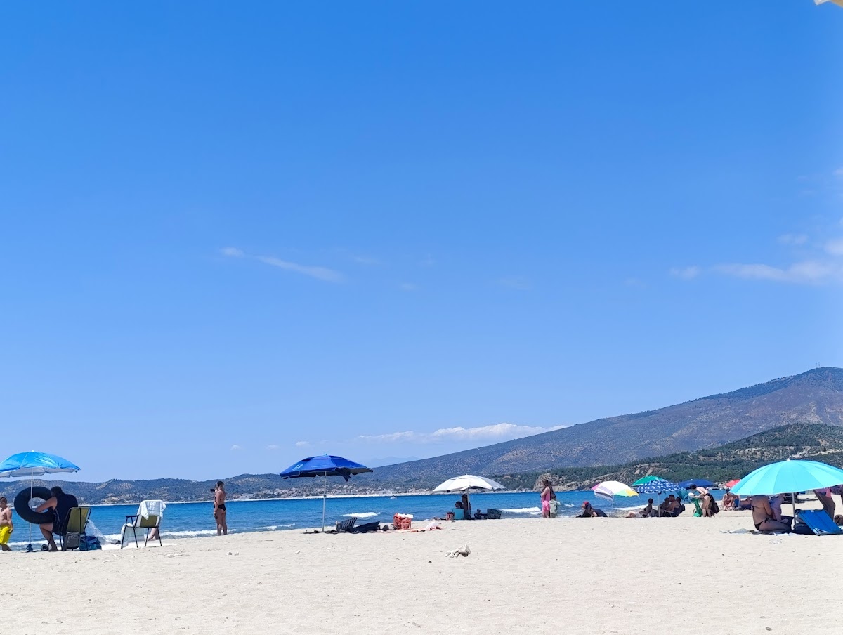 Thassos — San Antonio Beach Restaurant Bar — galeri