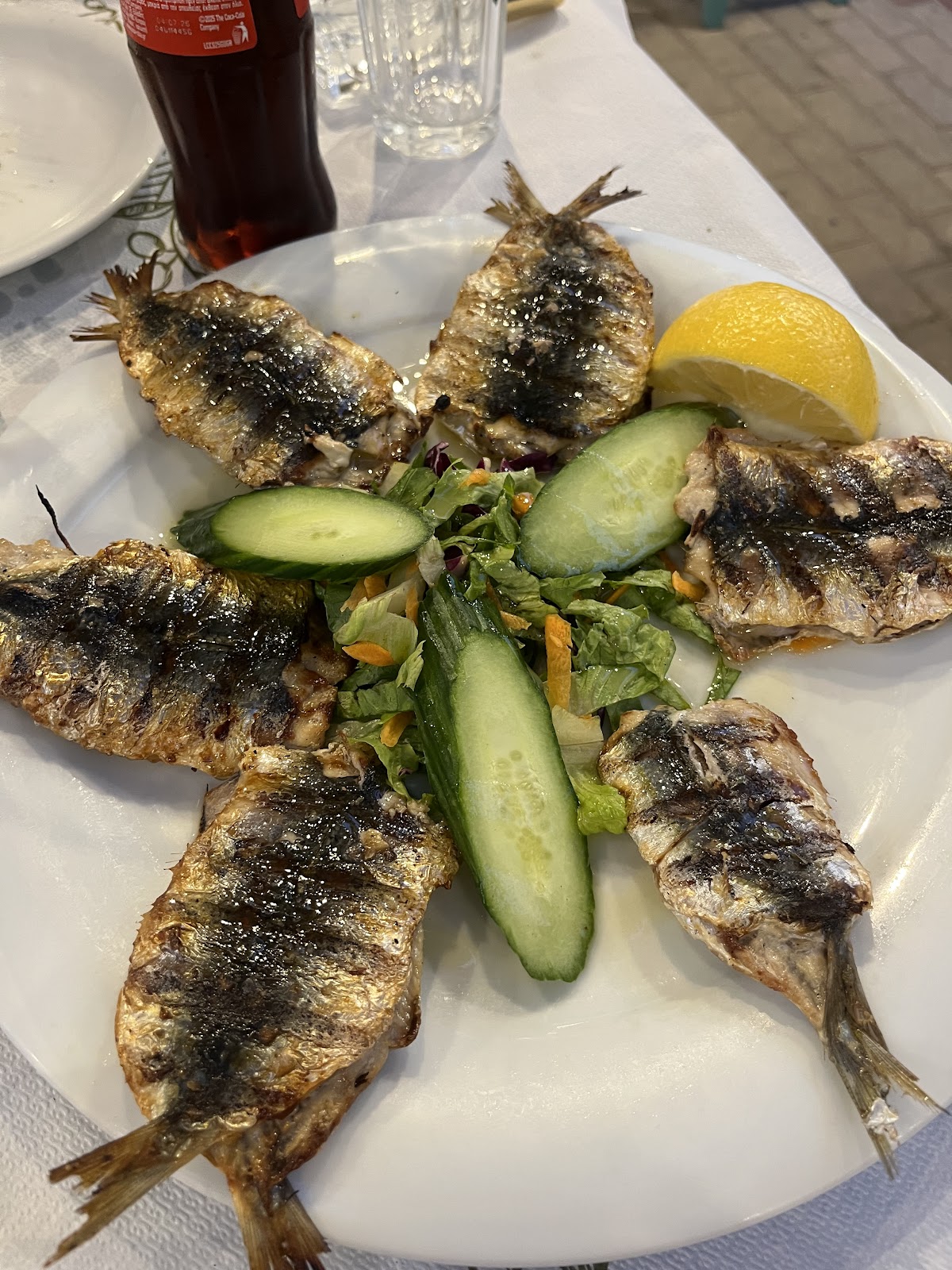Thassos — Mouses — gallery