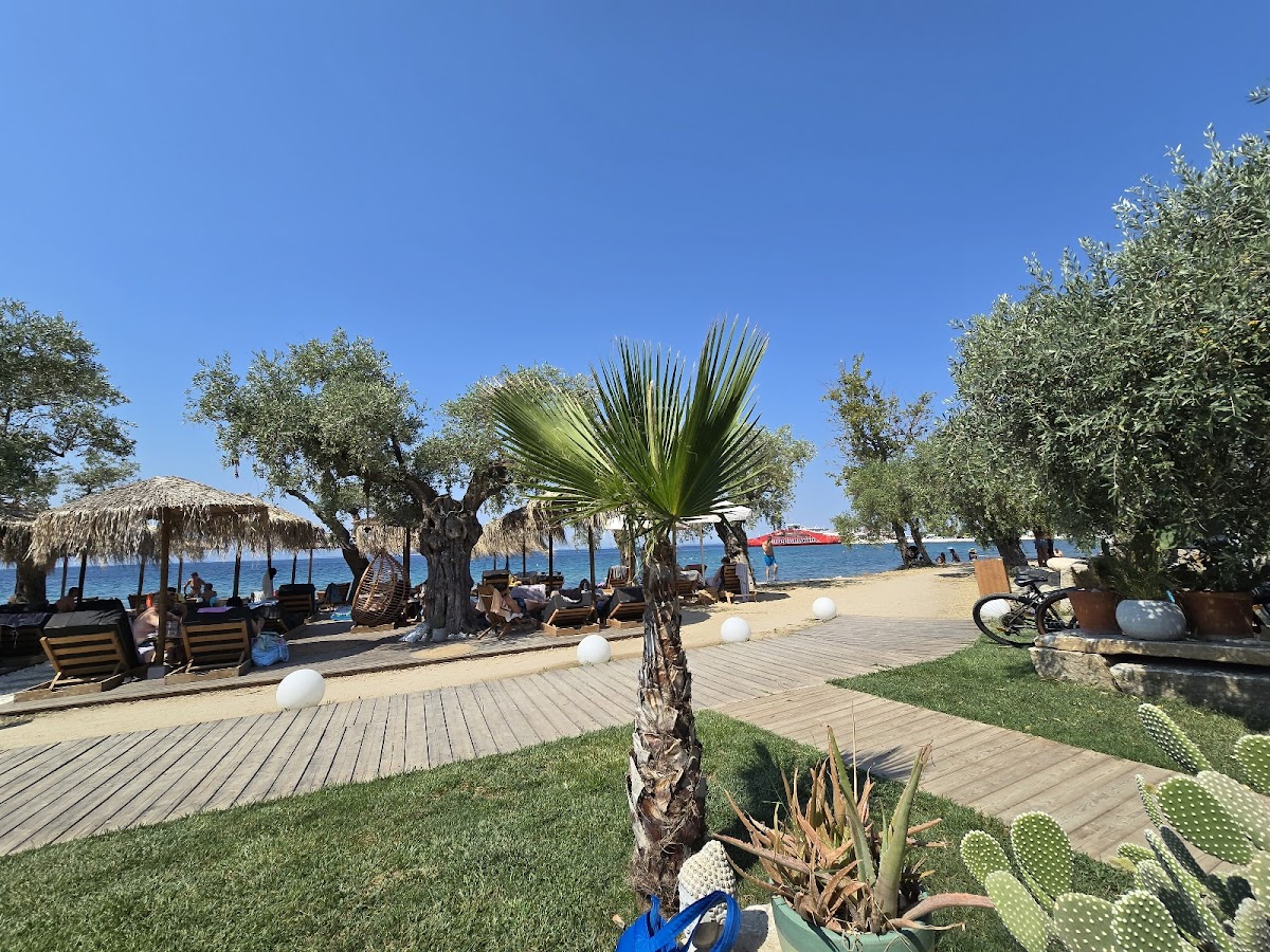 Thassos — By The Sea Beach Bar Restaurant — gallery