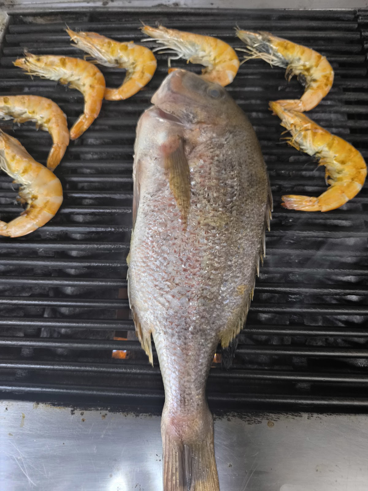 Thassos — Gefstiko Sea Food — galeri
