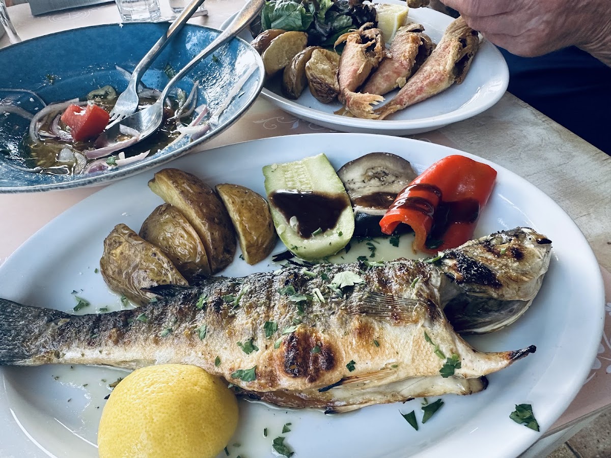 Thassos — Palude Taverna — galeri