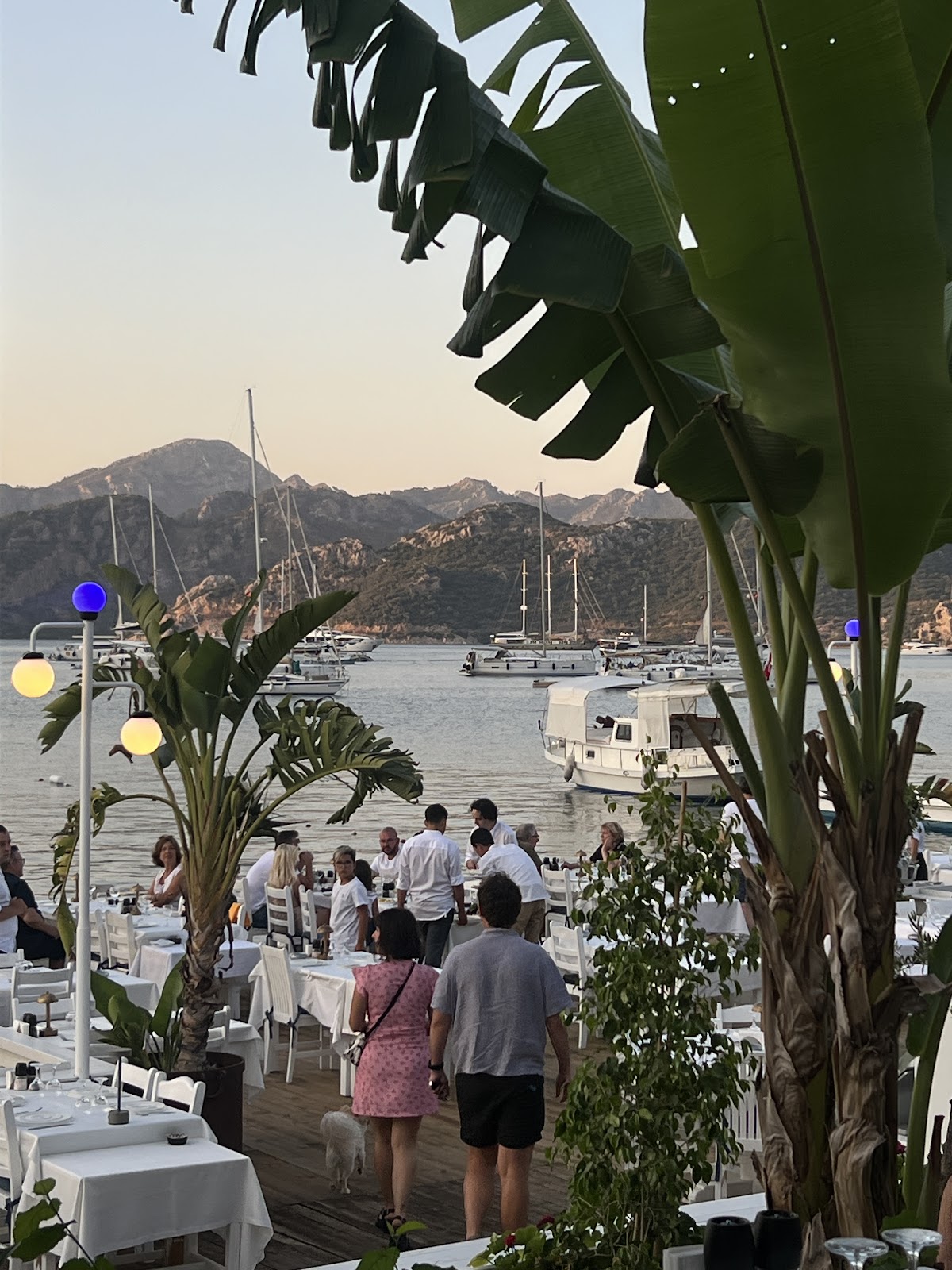 Selimiye Muğla — Selimiye Sardunya Restaurant Otel — gallery