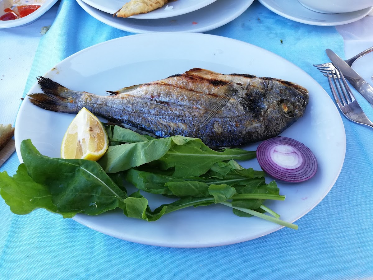 Bozcaada — Mavibeyaz Restaurant — gallery