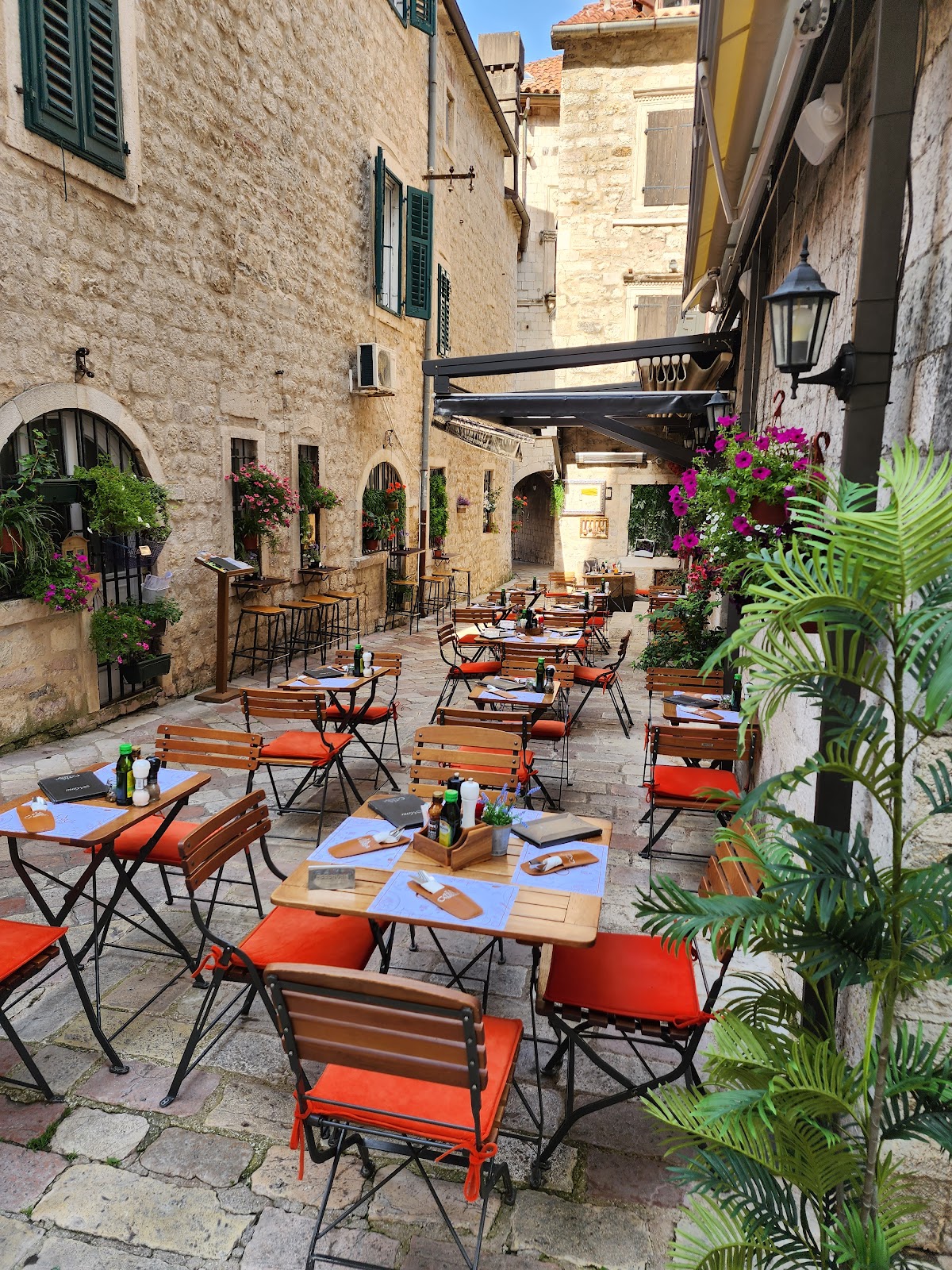 Kotor — La Catedral Pasta Bar — gallery