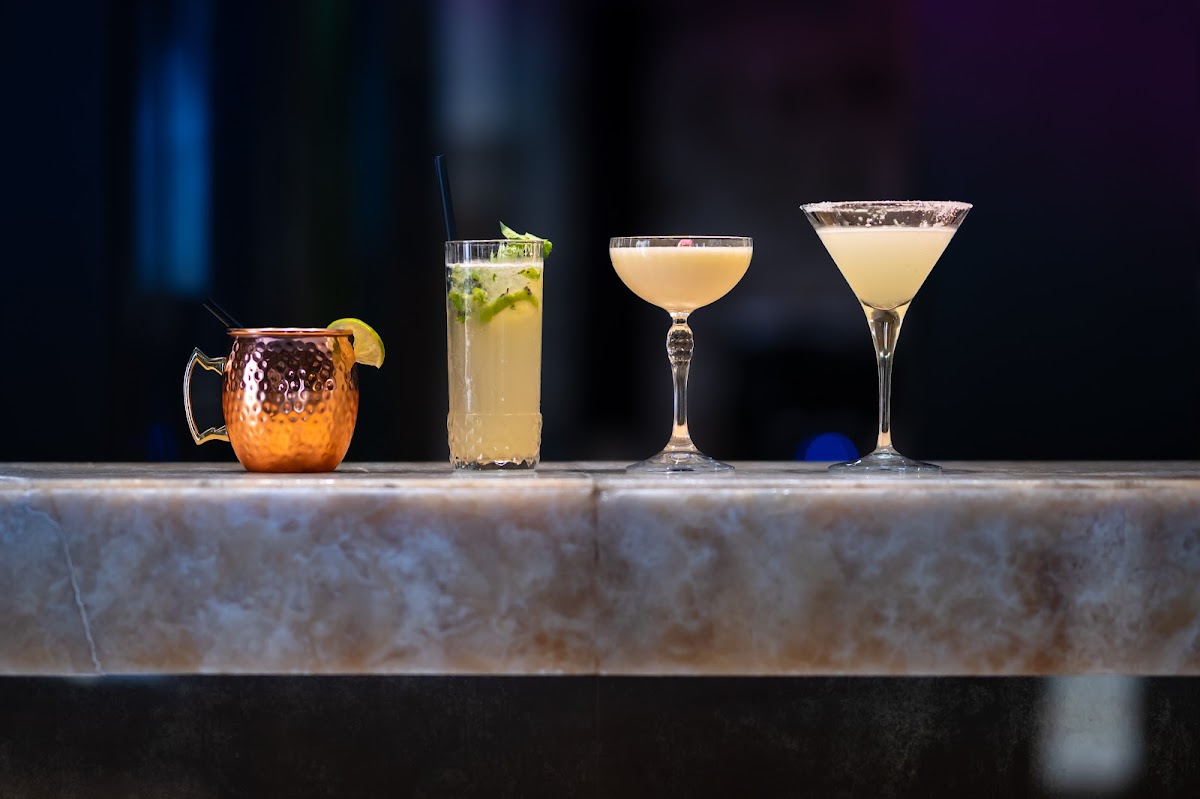 Kotor — Rooftop Terrace Hippocampus — galeri