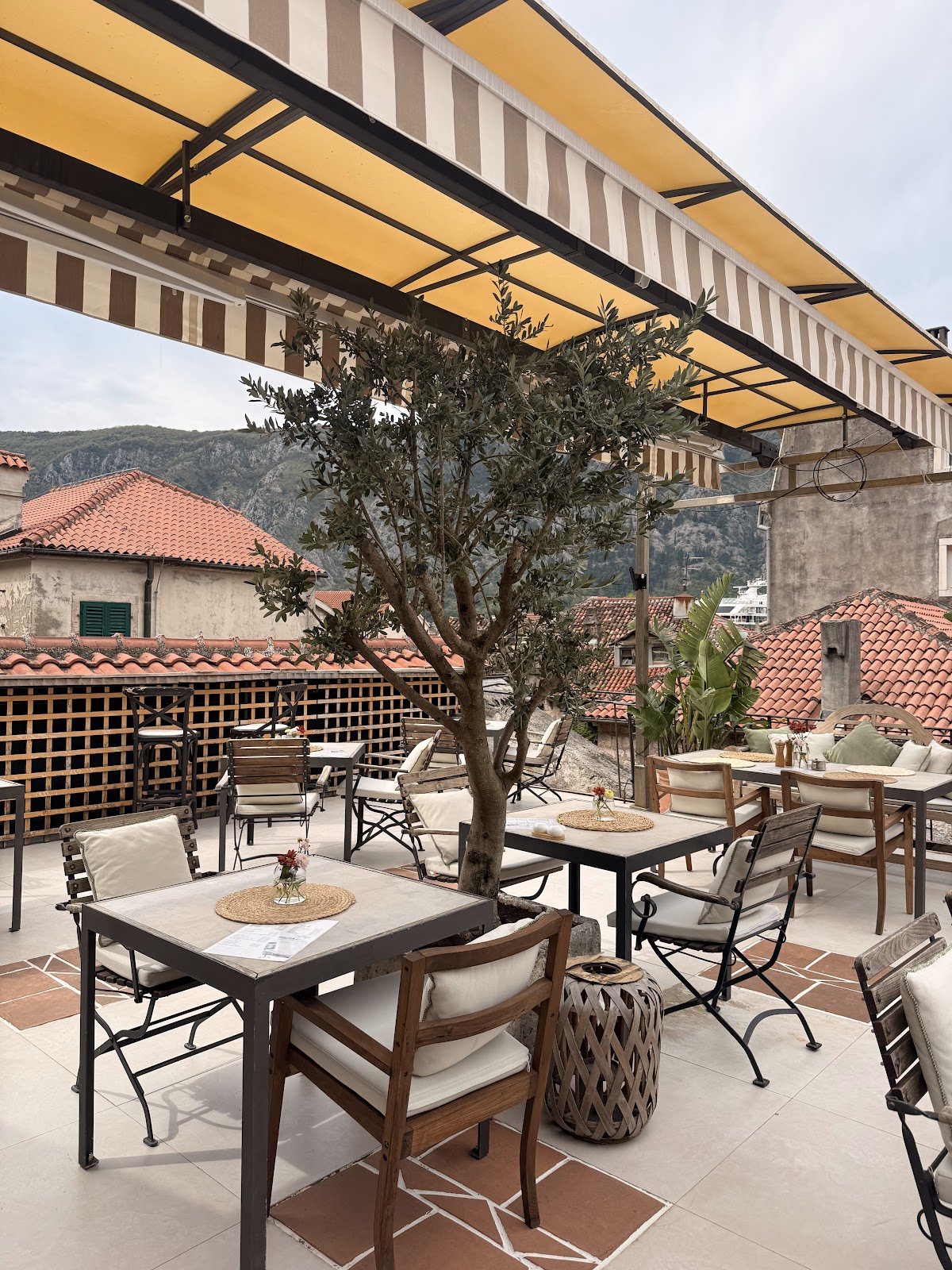 Kotor — Rooftop Terrace Hippocampus — galeri