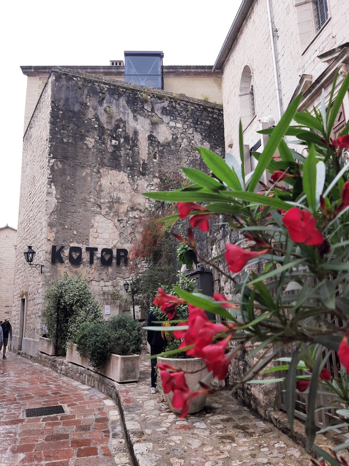 Kotor — Kotor Montenegro — galeri