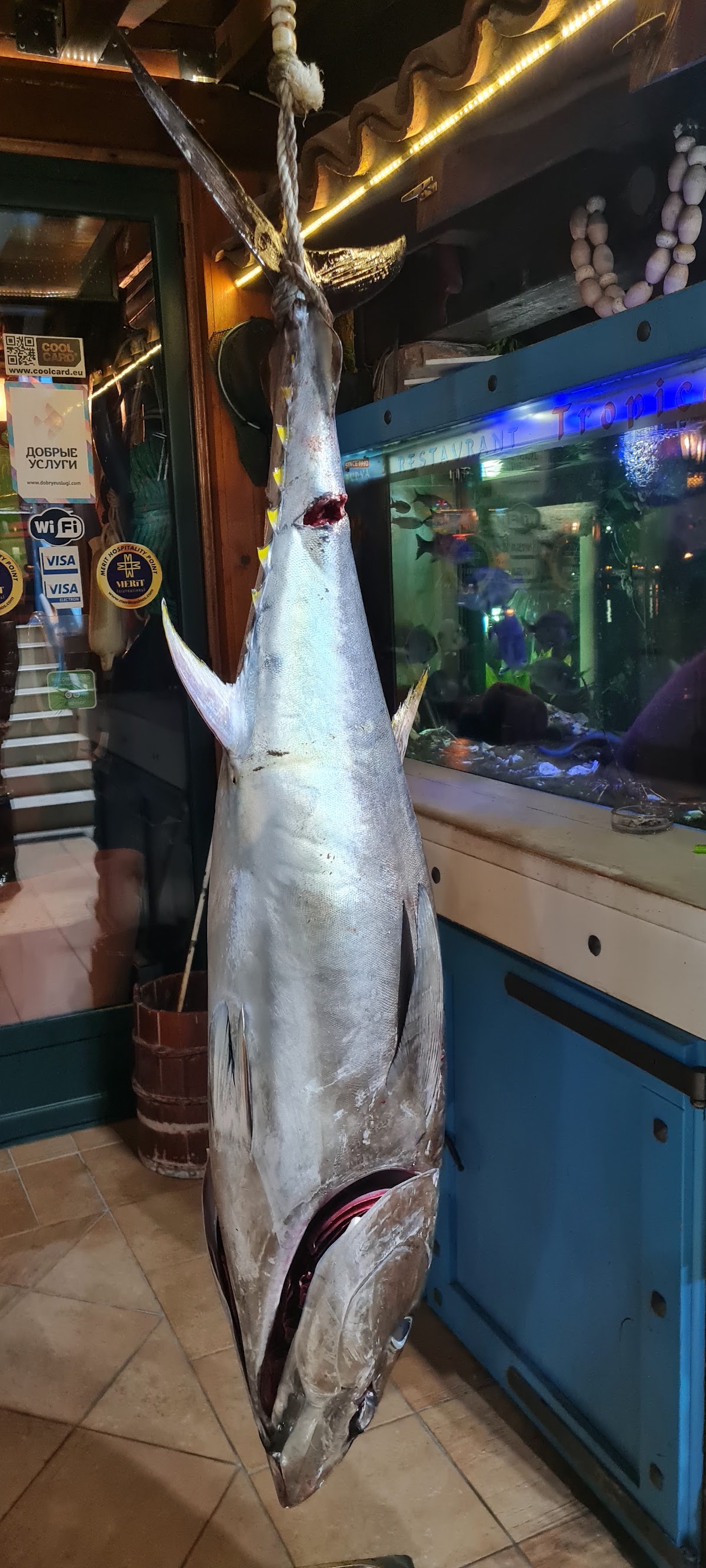 Budva — Tropico — gallery