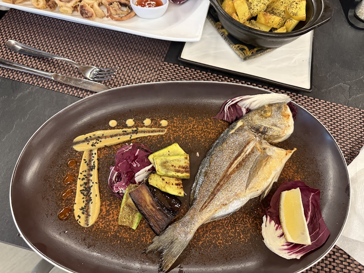 Ksamil — Basilico Restaurant — gallery