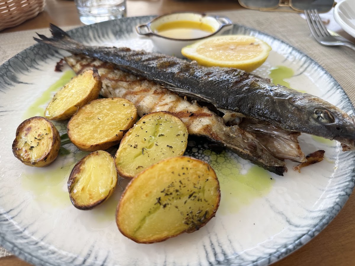 Ksamil — Restaurant Colosseum — galeri