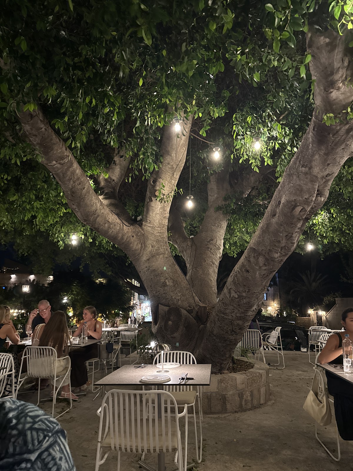Rhodos — The Ritualist — galeri