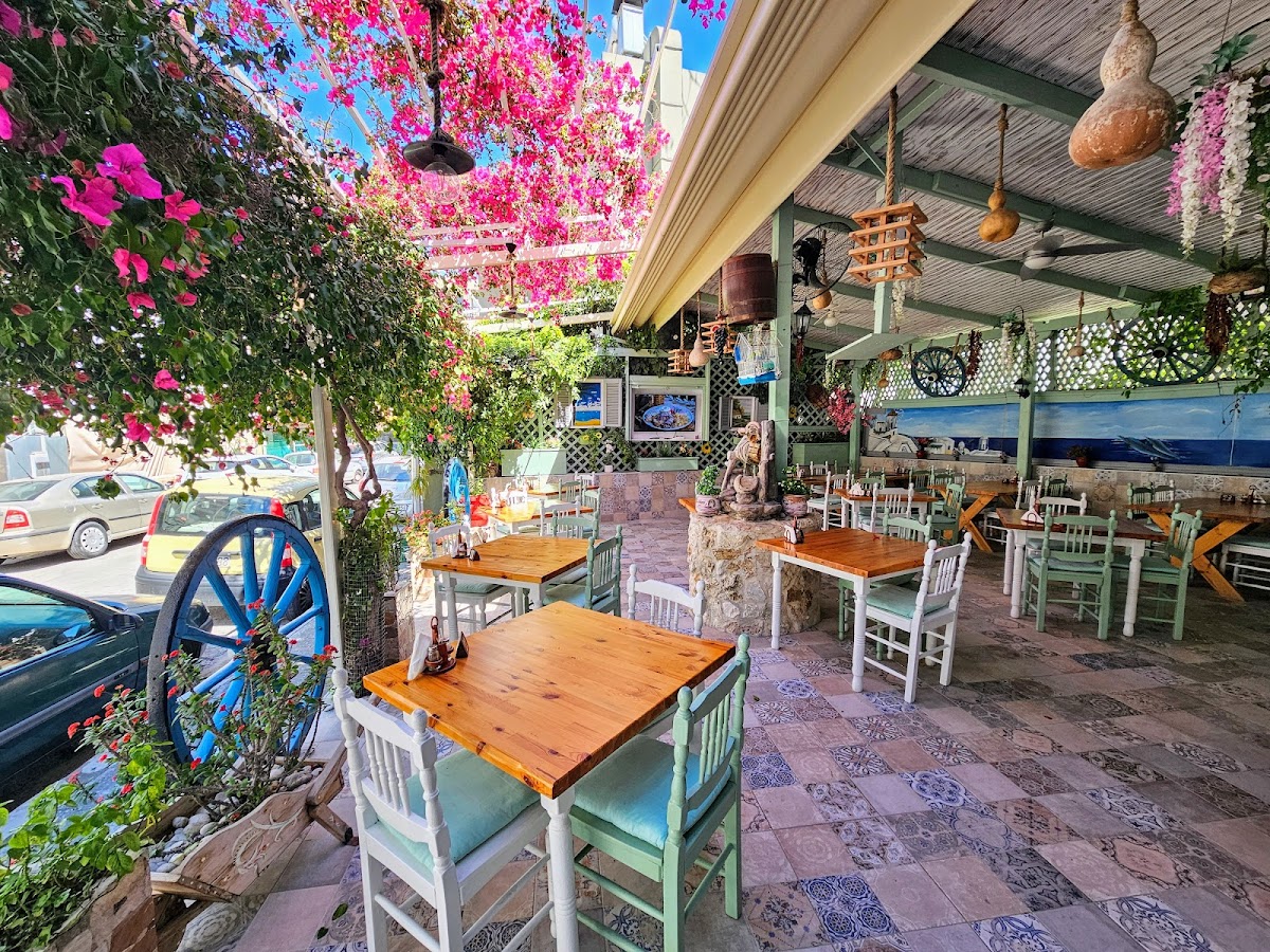 Rhodos — Country Kitchen Taverna Restaurant Grillhouse — galeri